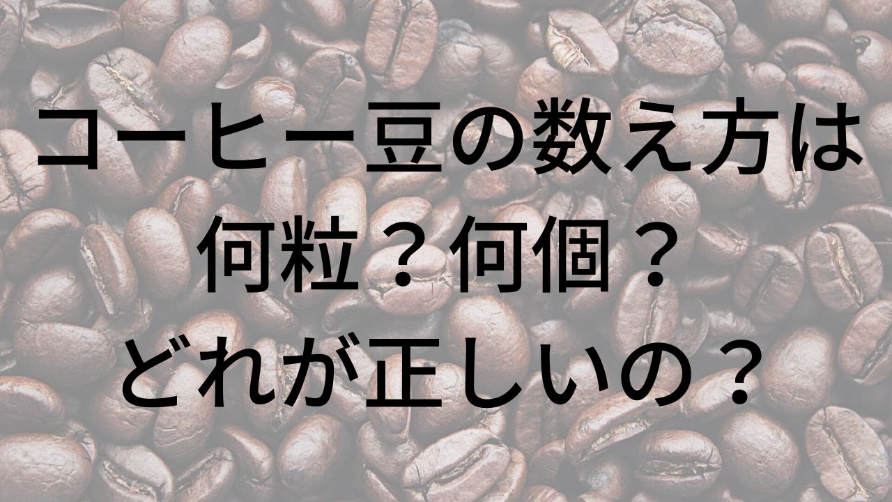 コーヒー豆の数え方は何粒？何個？どれが正しいの？